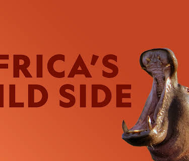 Africa's Wild Side Season 1
