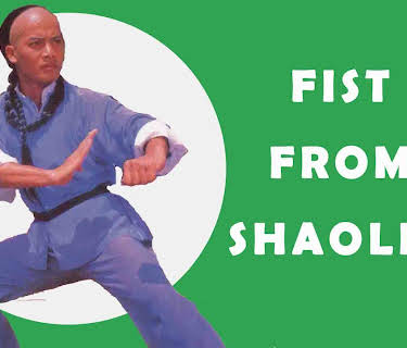 Fist From Shaolin (1993)