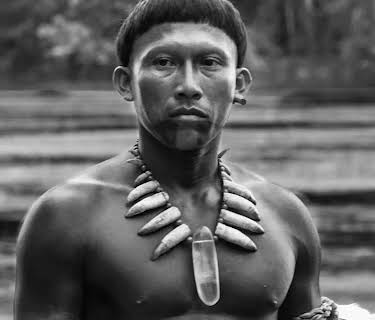 Embrace of the Serpent (2016)