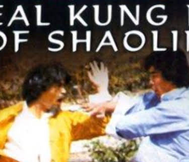 Real Kung Fu of Shaolin (1980)