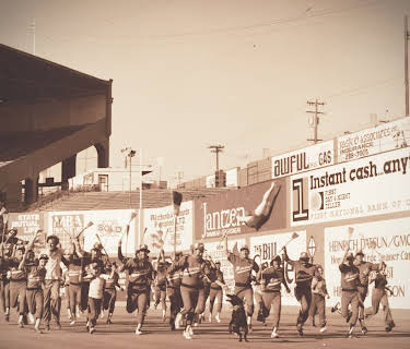 The Battered Bastards of Baseball (2014)