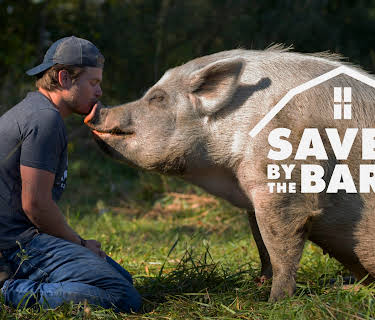 Saved By the Barn Season 1
