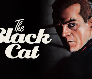 The Black Cat (1934) (1934)