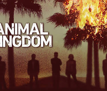 Animal Kingdom: Season 1