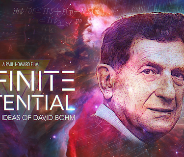 Infinite Potential: The Life & Ideas of David Bohm (2020)