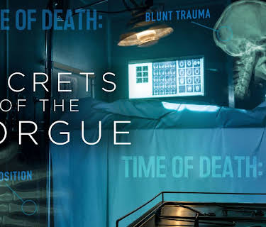 Secrets Of The Morgue