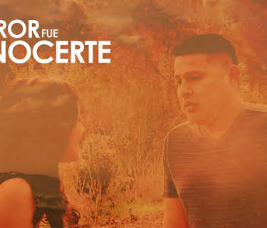 Mi error fue conocerte (2015)