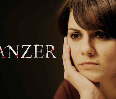 Panzer (2013)