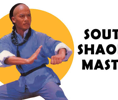 South Shaolin Master (1984)