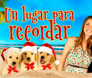 Un lugar para recordar (2011)