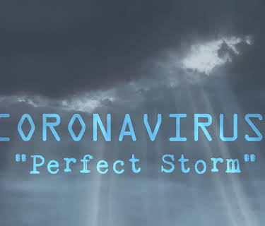 Coronavirus: Perfect Storm (2020)