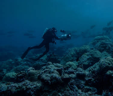 Jorden om natten: Filmet i mørket (2020)