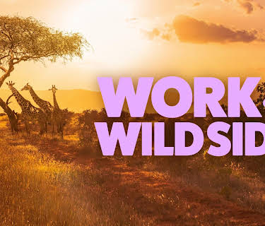 Work on the Wild Side, Season 1