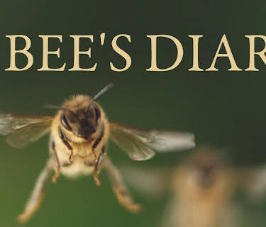 A Bee's Diary