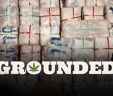 Grounded (2013)