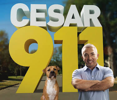 Cesar 911 Season 1