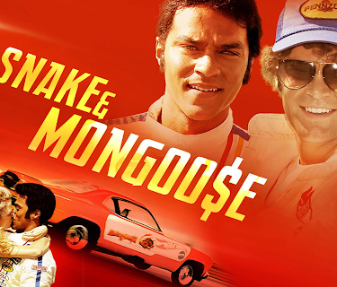 Snake And Mongoose (2013)