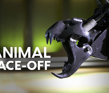Animal Face Off: Season 1