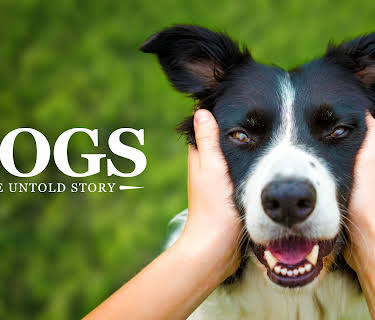 Dogs: The Untold Story