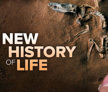A New History of Life