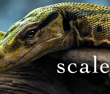 Scaled