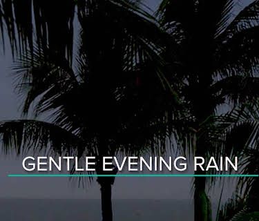 Gentle evening rain