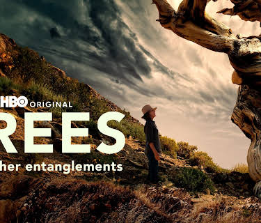Trees and Other Entanglements (2022)