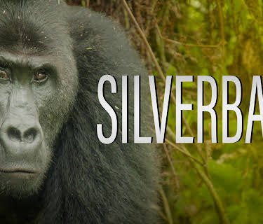 Silverback (2024)