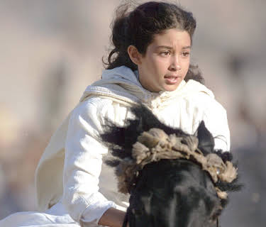 The Young Black Stallion (2003)