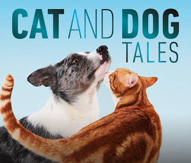Cat and Dog Tales: Season 1