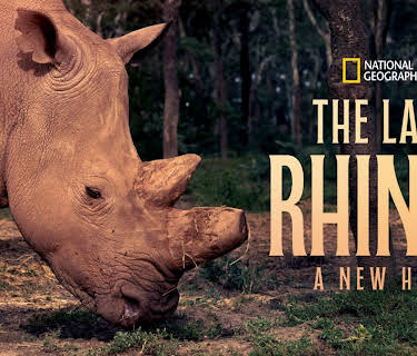 The Last Rhinos: A New Hope (2025)