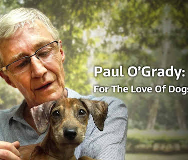 Paul O'Grady: For The Love Of Dogs - India
