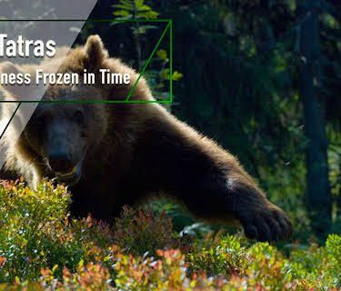 High Tatras - A Wilderness Frozen in Time (2007)