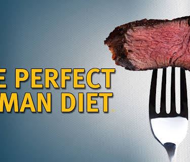 The Perfect Human Diet (2013)