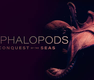 Cephalopods Conquest of the Seas (2026)