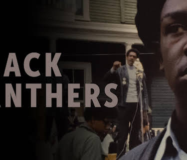 Black Panthers (2015)