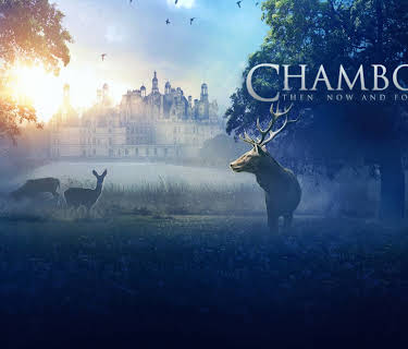 Chambord; then, now and forever (2019)