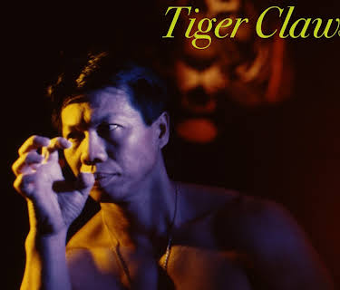 Tiger Claws 2 (1997)