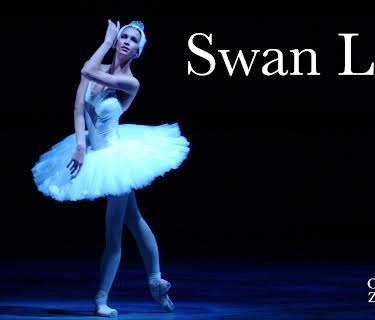 Tchaikovsky: Swan Lake (2010)