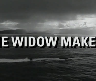 The Widow Makers (1994)