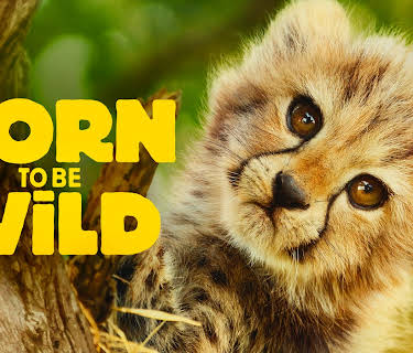 Born to Be Wild