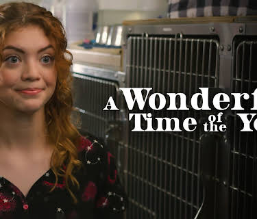 A Wonderful Time of the Year (2022)