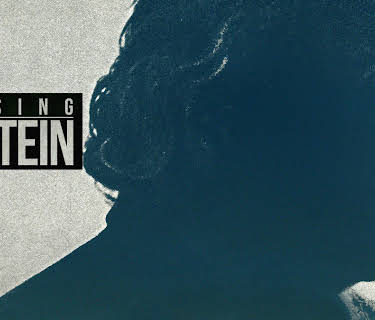 Chasing Einstein (2019)