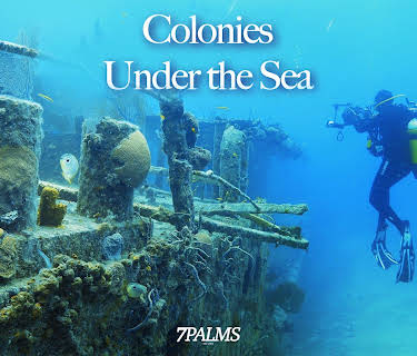 Colonies Under the Sea (2019)