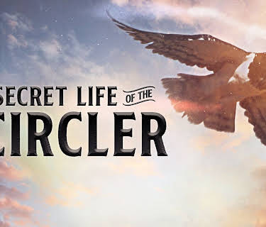 Secret Life of the Circler (2013)