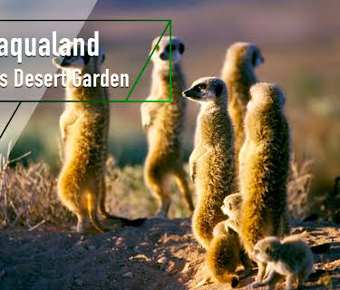 Namaqualand - Africa's Desert Garden (2005)