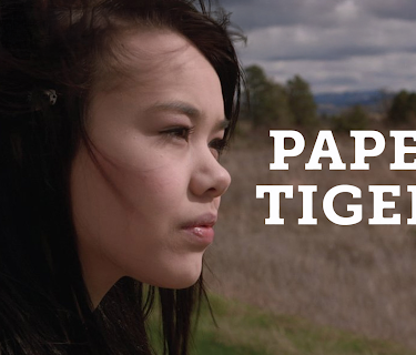 Paper Tigers (2015)