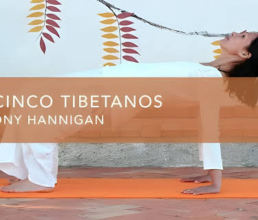 Los cinco Tibetanos (2016)