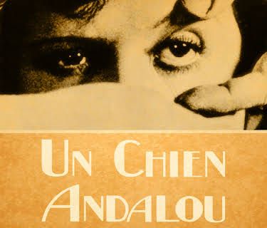 An Andalusian Dog (2004)