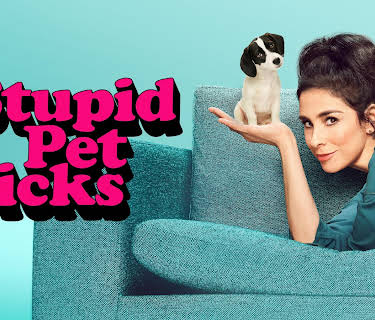 Stupid Pet Tricks, Season 1